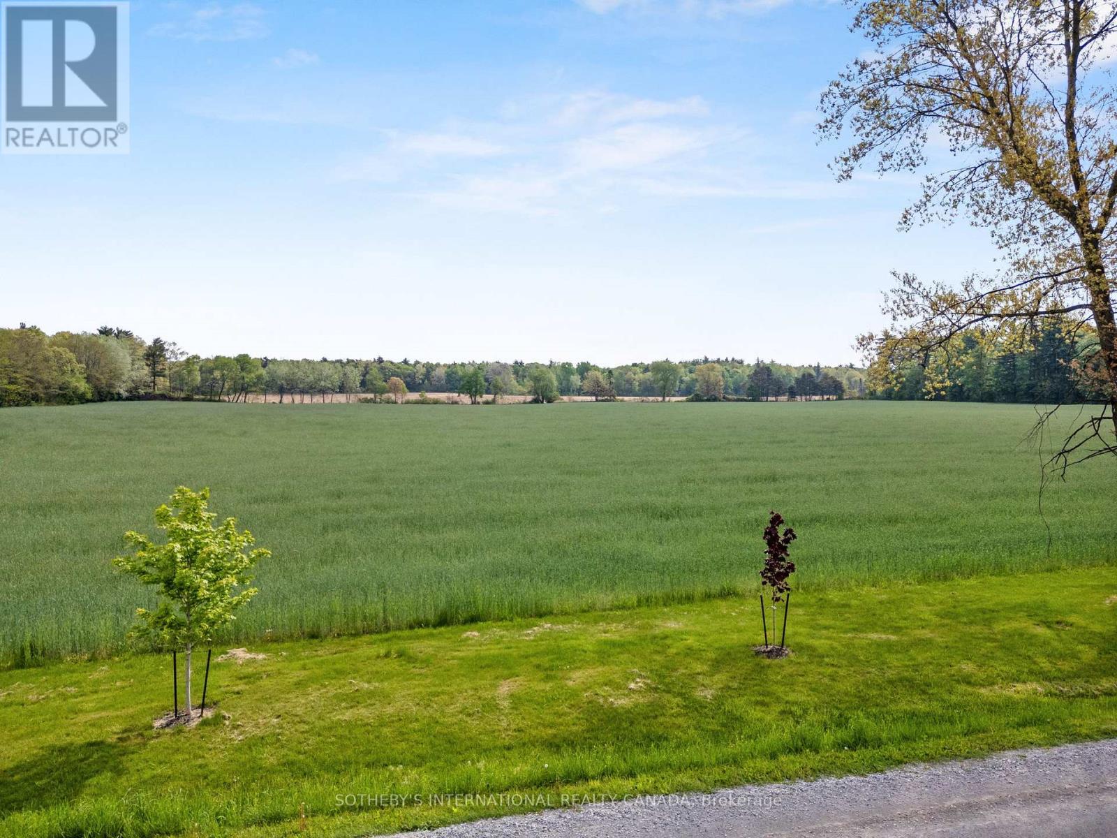 N/a Turkey Point Road, Norfolk (Walsh), Ontario  N3Y 4K1 - Photo 8 - X12117093