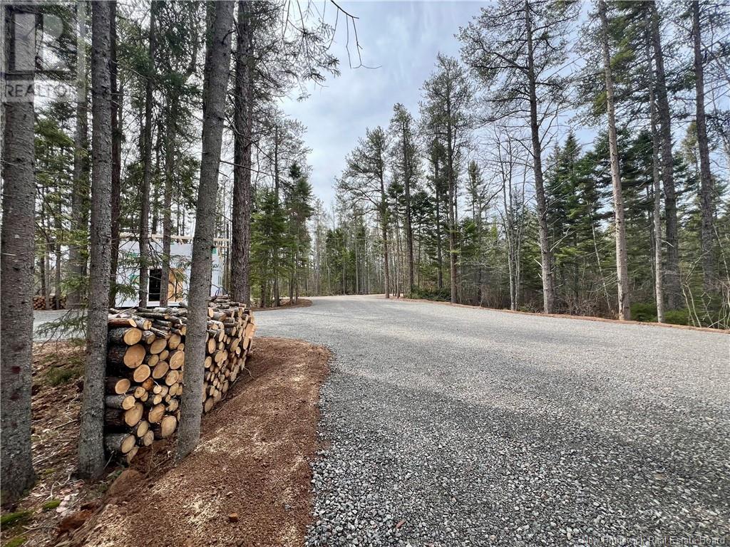 Lot Route 530, Grande-Digue, New Brunswick  E4R 3Z5 - Photo 4 - NB117420