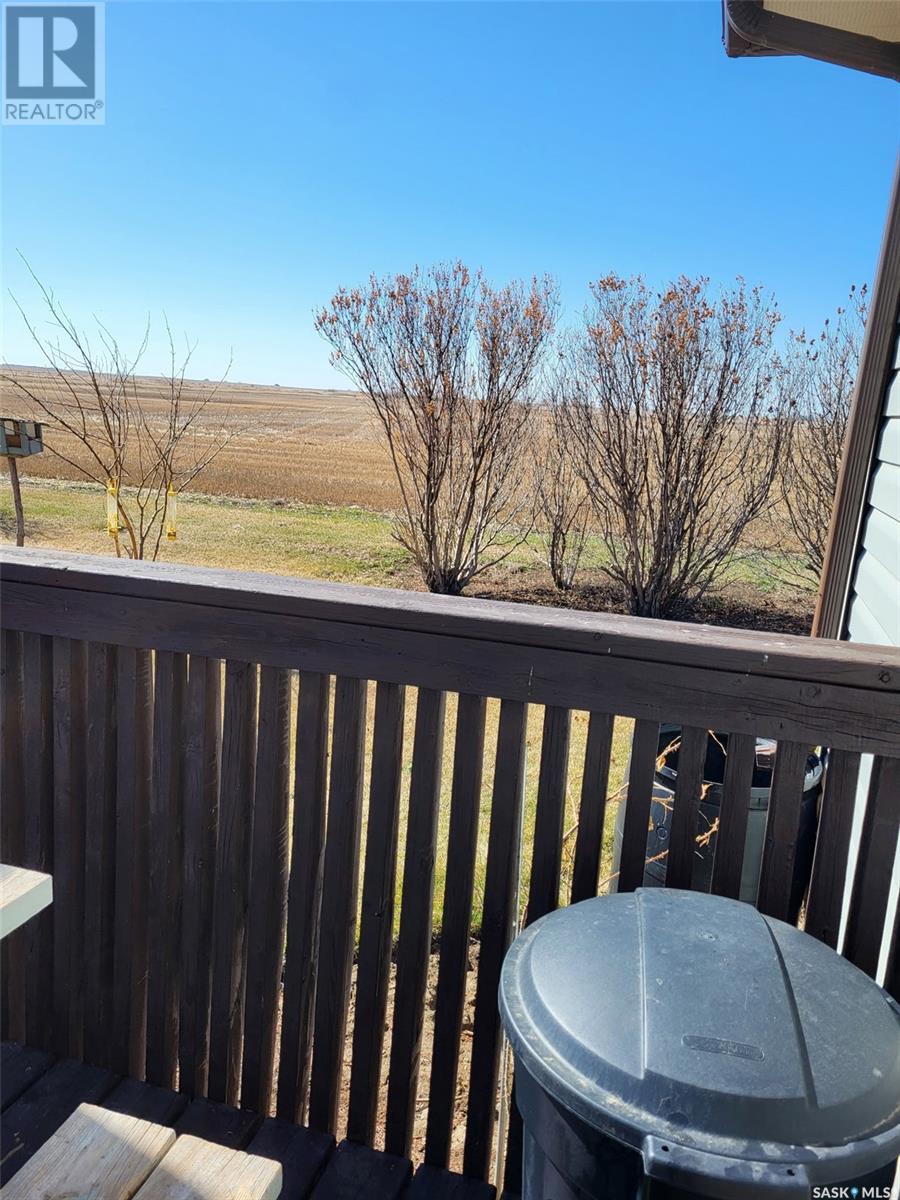 101 Saskatchewan Avenue, Tramping Lake, Saskatchewan  S0K 4H0 - Photo 19 - SK003531