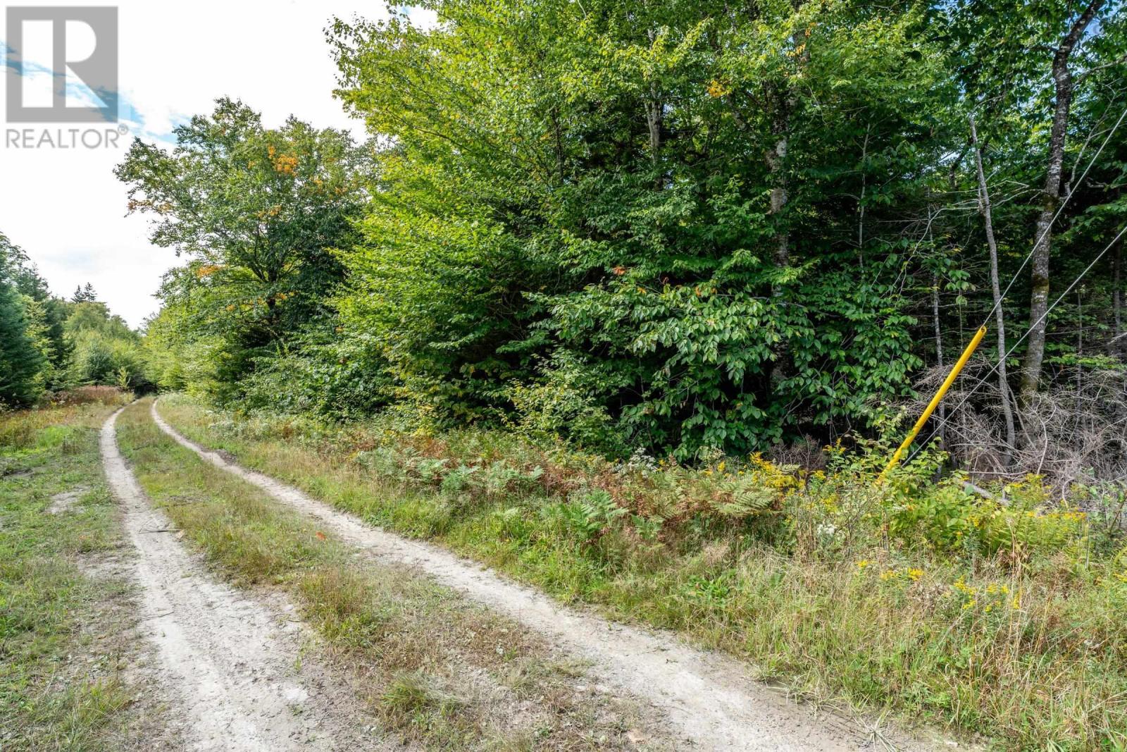 Lot 3 Chemin Theriault Point Road, Belliveaus Cove, Nova Scotia  B0W 1M0 - Photo 15 - 202509520