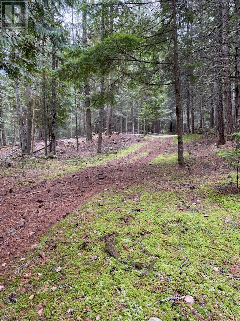 784 Lewis Road, Harrop, British Columbia  V1L 6P7 - Photo 55 - 10333383