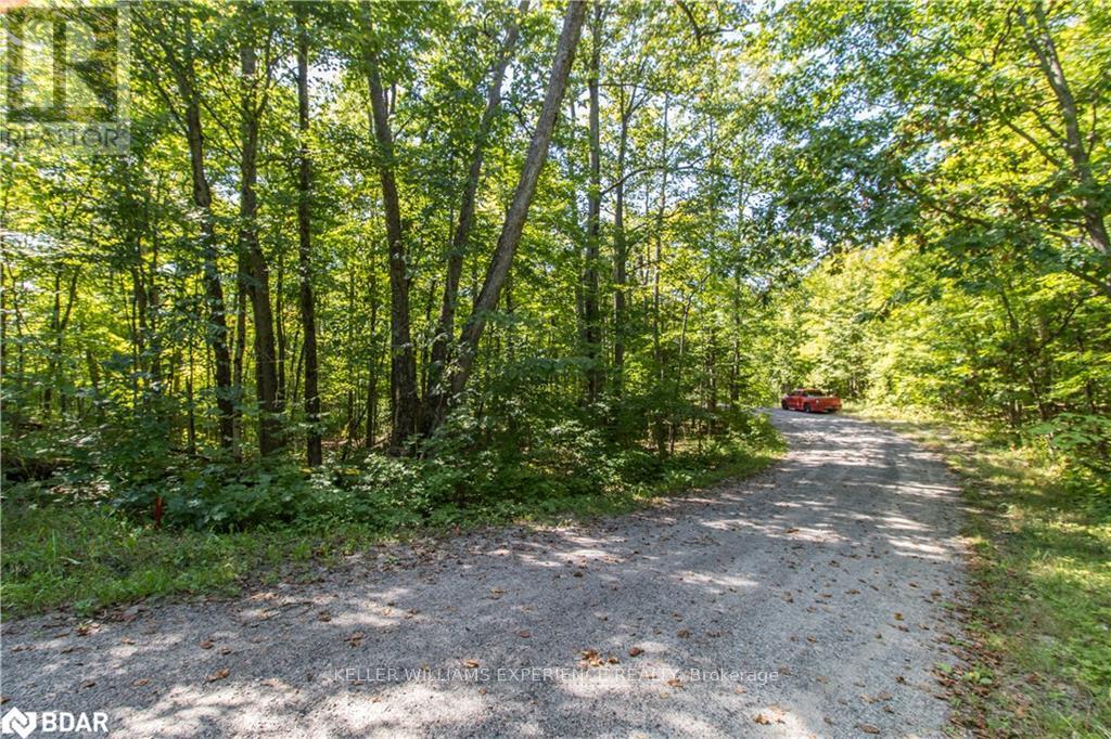 56 Dauncey Road, Magnetawan, Ontario  P0A 1P0 - Photo 20 - X12117544