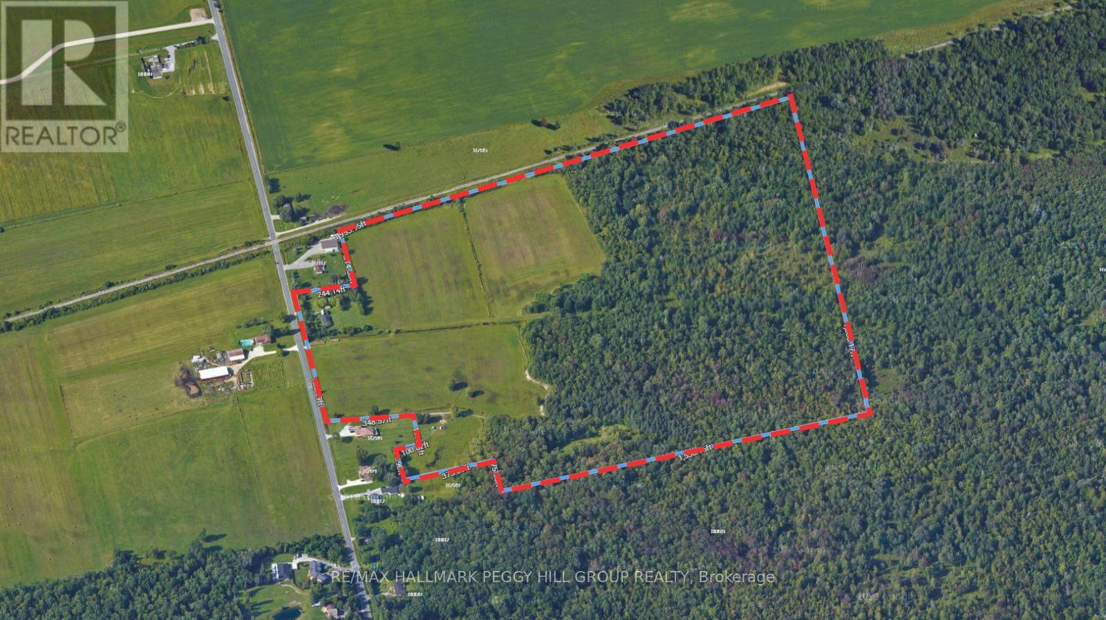 8747 10th Line, Essa, Ontario  L4M 4S4 - Photo 21 - N12117847