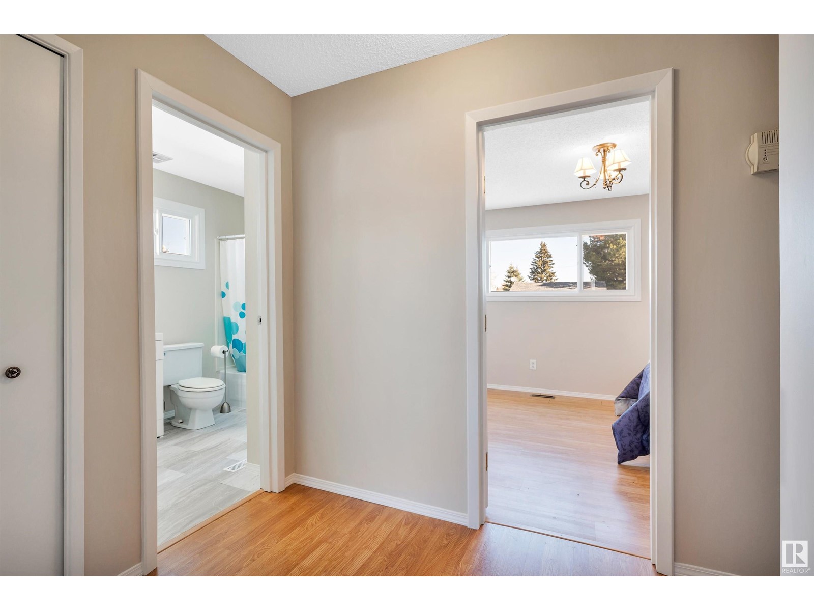 Property at 4913 48 AV image 4