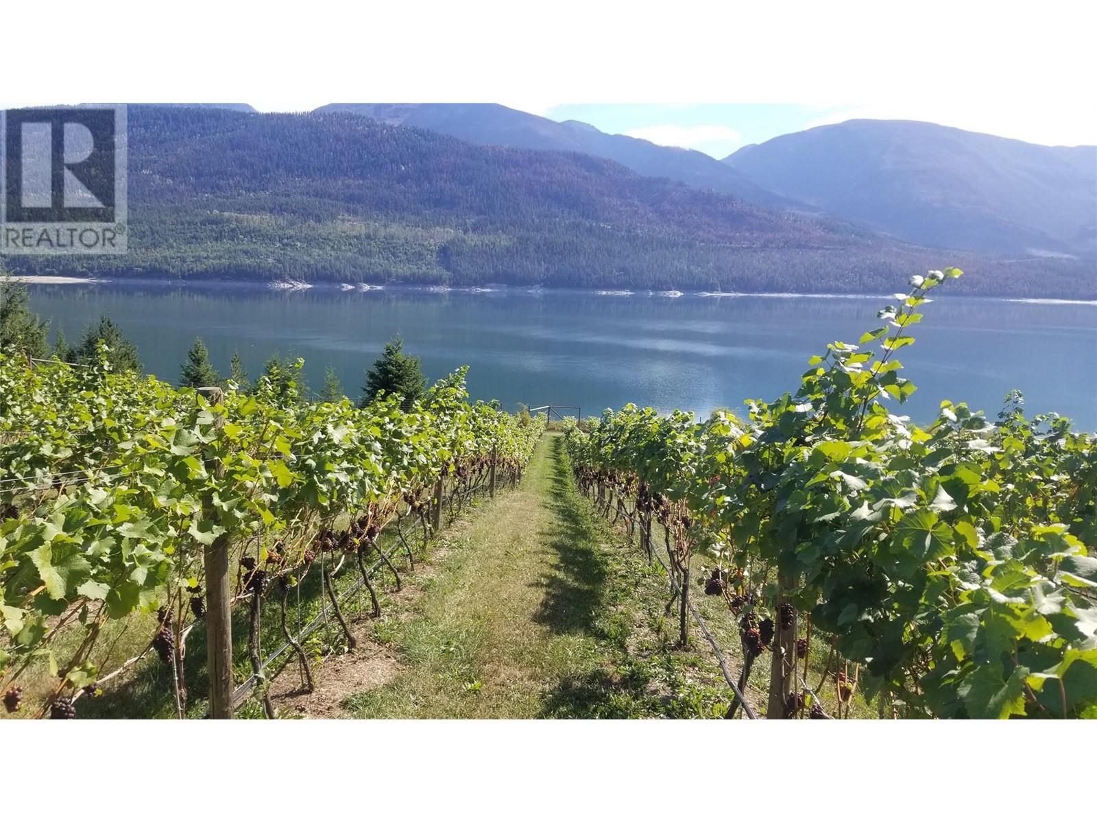 2 Lower Inonoaklin Road, Edgewood, British Columbia  V0G 1J0 - Photo 10 - 10344571