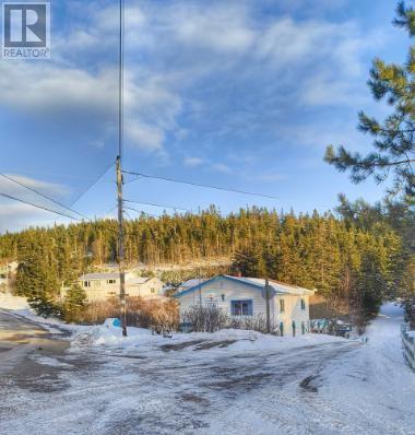 01 Waterville Lane, Waterville, Newfoundland & Labrador  A5A 3A2 - Photo 2 - 1281891