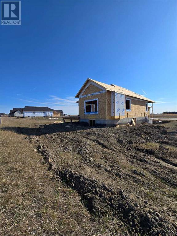 376 Muirfield Crescent, Lyalta, Alberta  T0J 1Y1 - Photo 4 - A2187136
