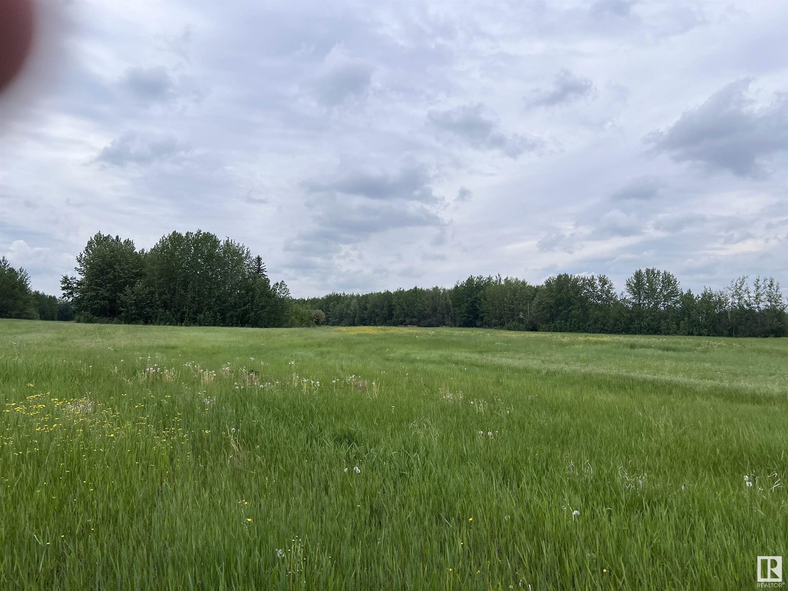 62424 Rr 255, Rural Westlock County, Alberta  T0G 0S0 - Photo 8 - E4429297