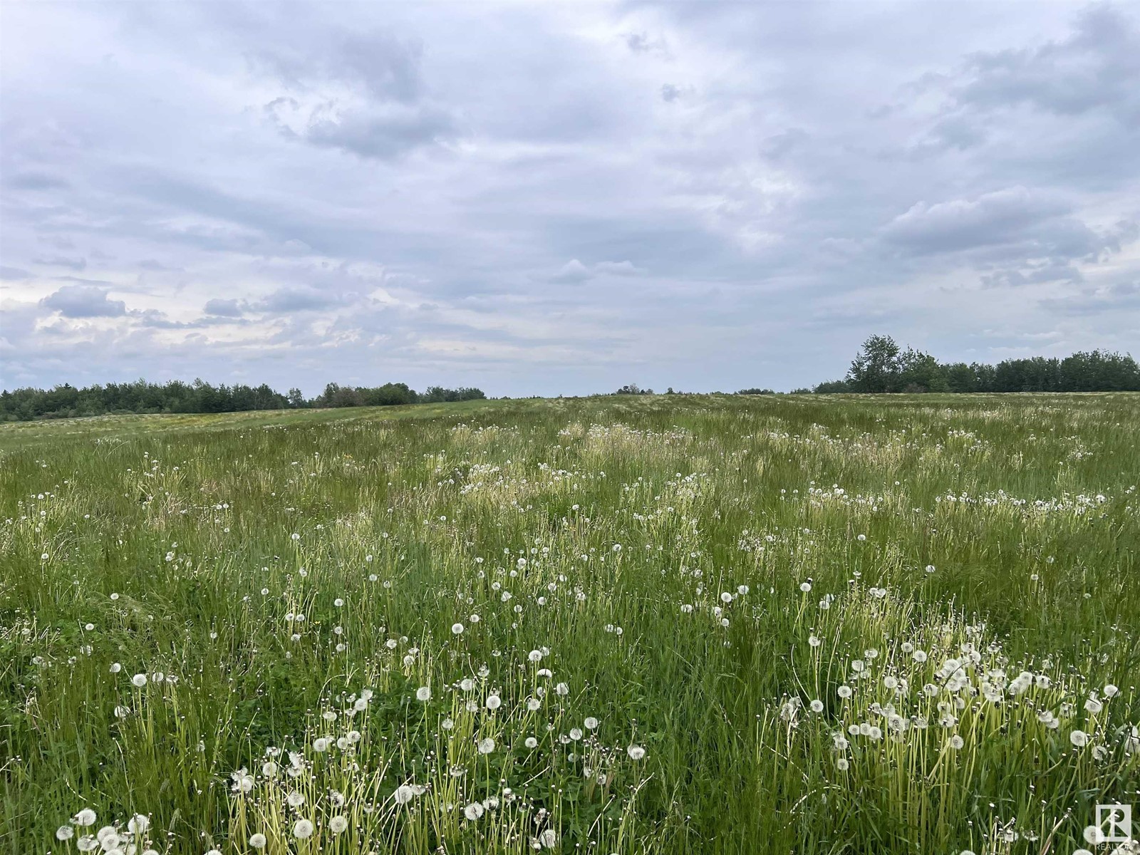 62424 Rr 255, Rural Westlock County, Alberta  T0G 0S0 - Photo 13 - E4429297