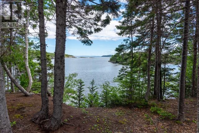 3c Loop Road, Happy Adventure, Newfoundland & Labrador  A0G 1Z0 - Photo 46 - 1284473
