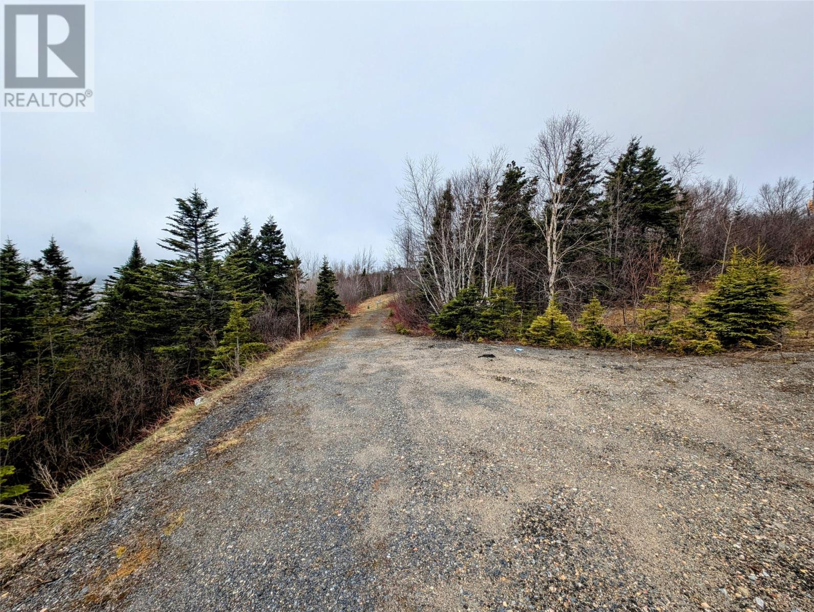 5 Prince George Avenue, Corner Brook, Newfoundland & Labrador  A2H 3B6 - Photo 5 - 1284341