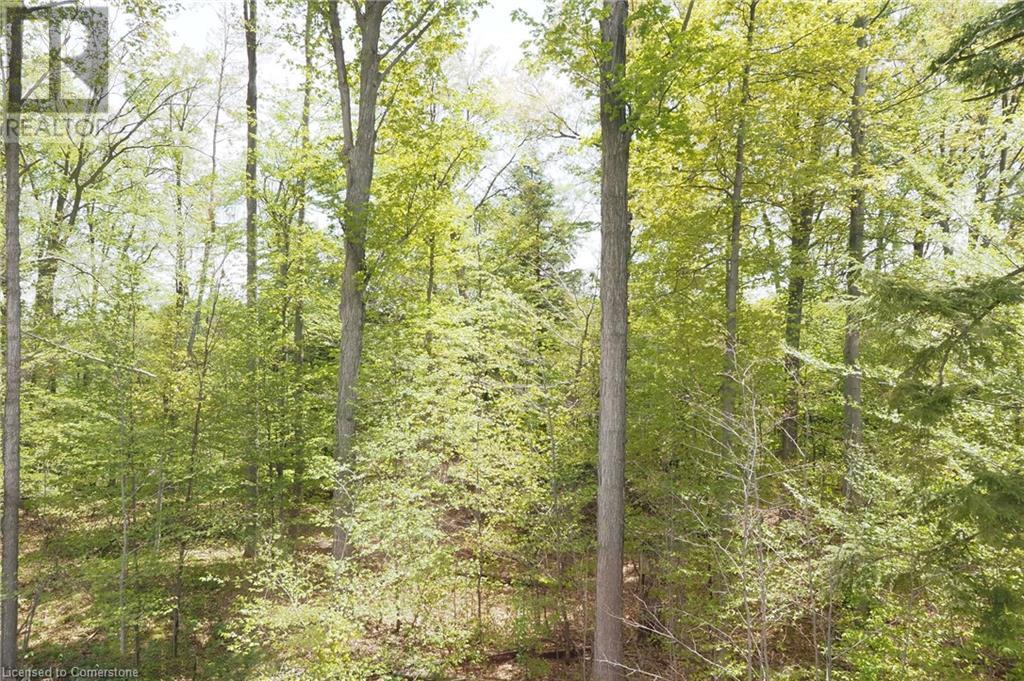 Property at 220 JEFFREY Place image 2