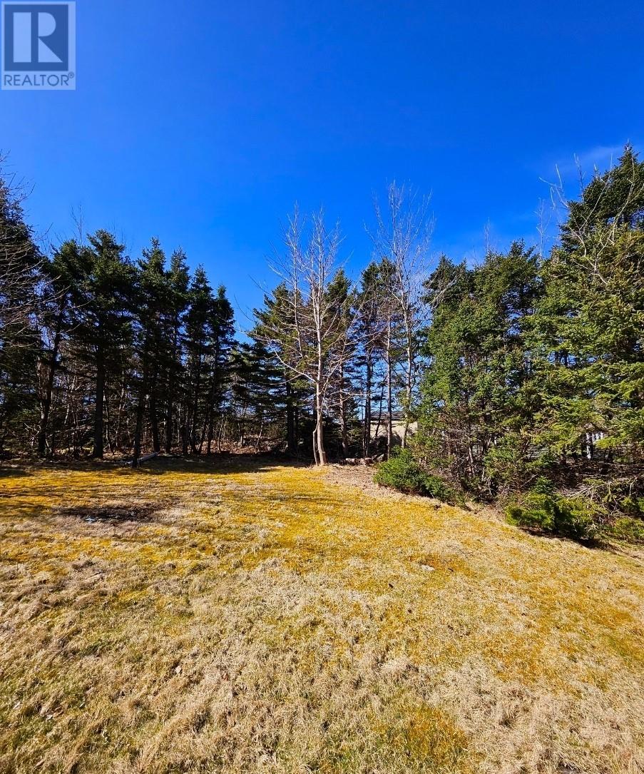 6 Riddles Road, Broad Cove, Newfoundland & Labrador  A0A 1L0 - Photo 22 - 1284478