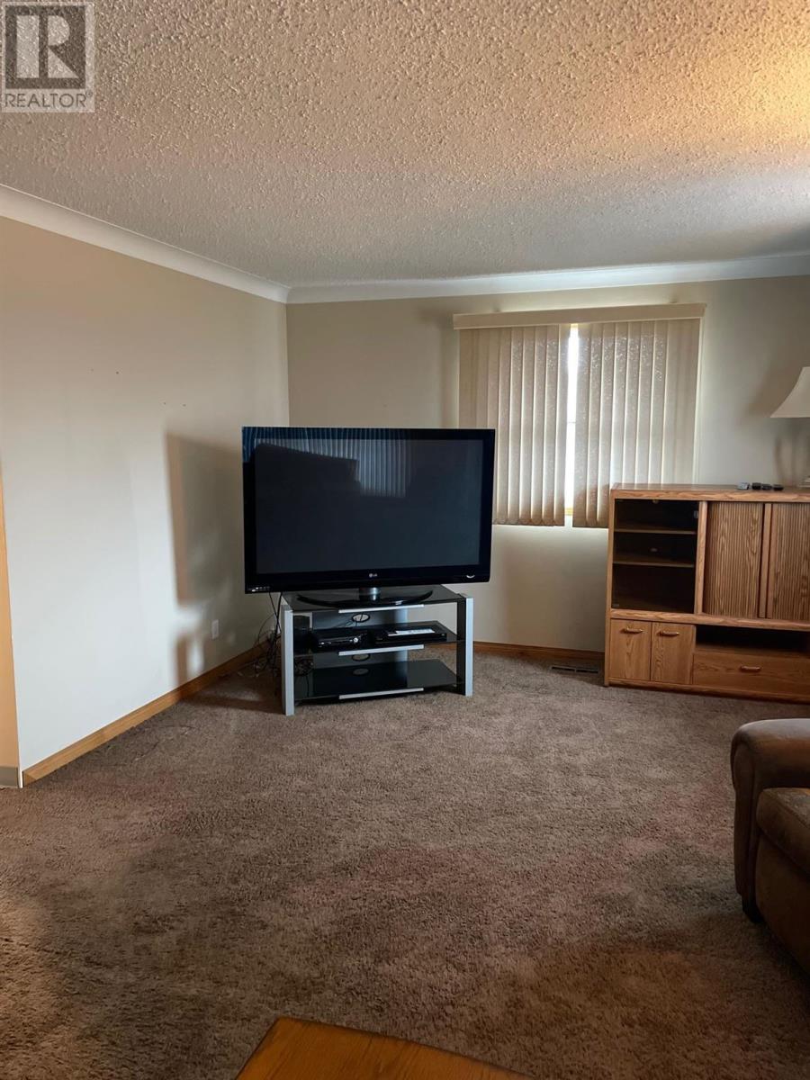 623 Edward St S, Thunder Bay, Ontario  P7E 2H2 - Photo 7 - TB250896