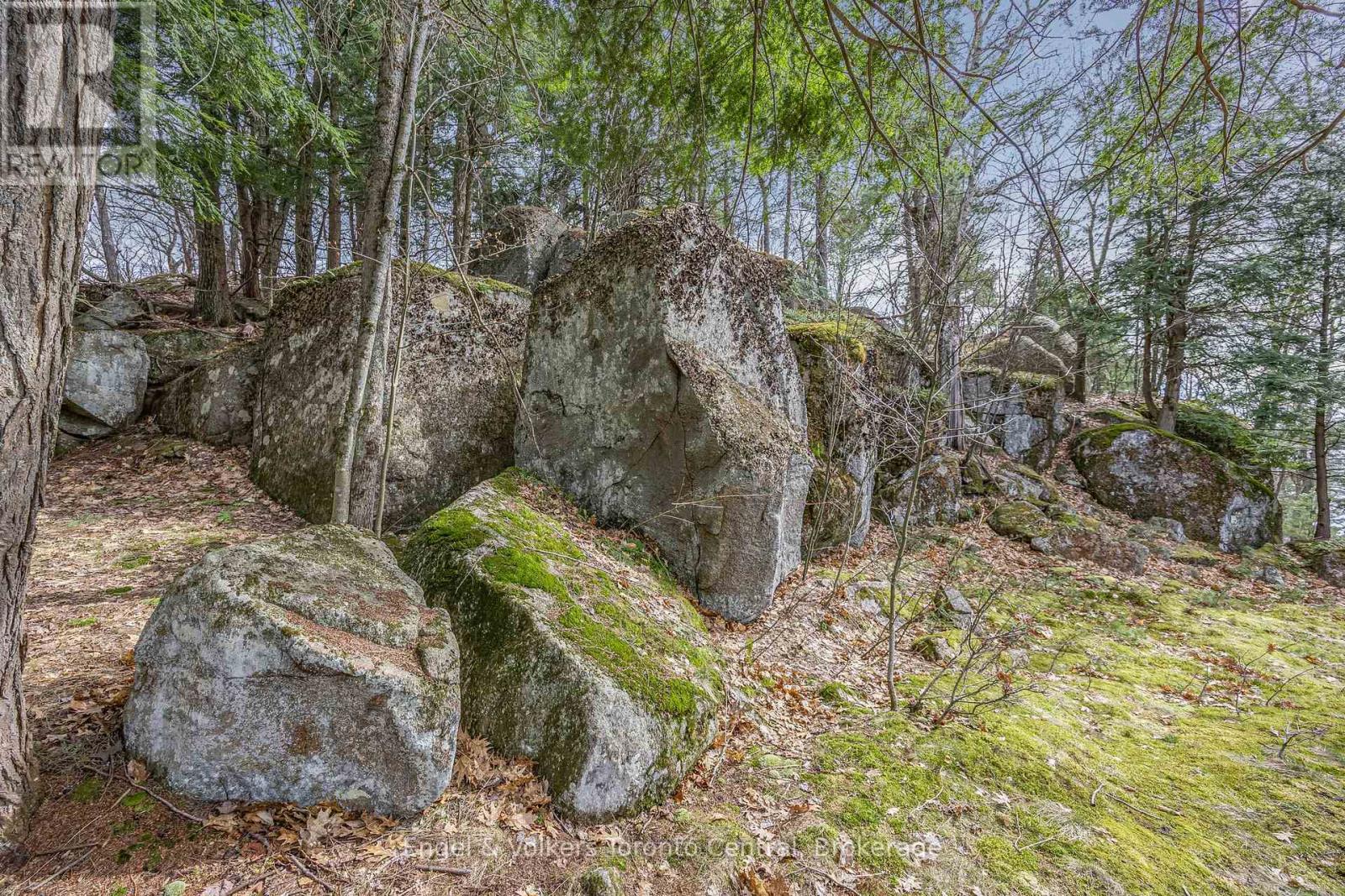 2481 Falkenburg Road, Muskoka Lakes, Ontario  P0B 1J0 - Photo 25 - X12118885