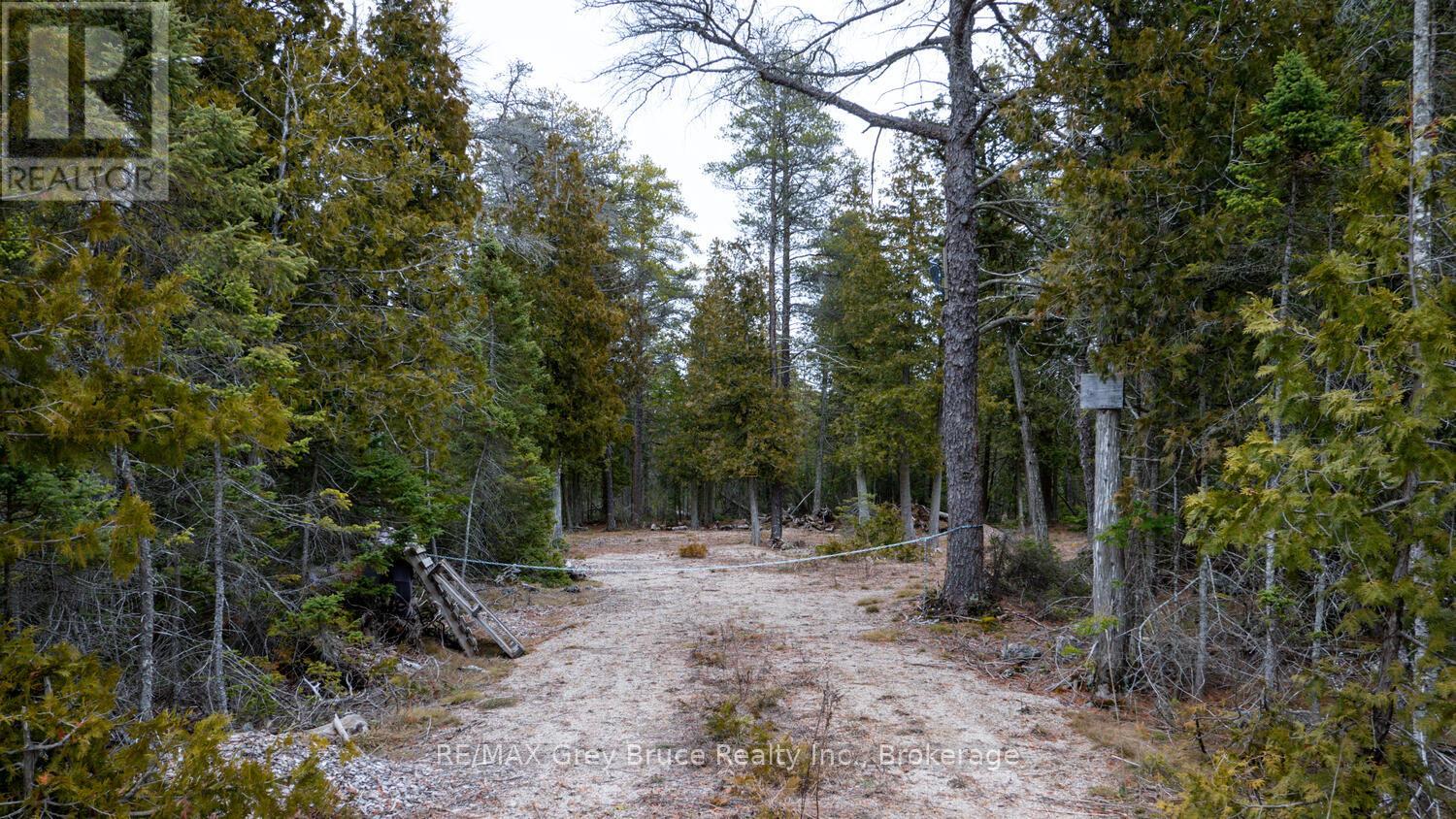 1035 Dorcas Bay Road, Northern Bruce Peninsula, Ontario  N0H 2R0 - Photo 16 - X12118901