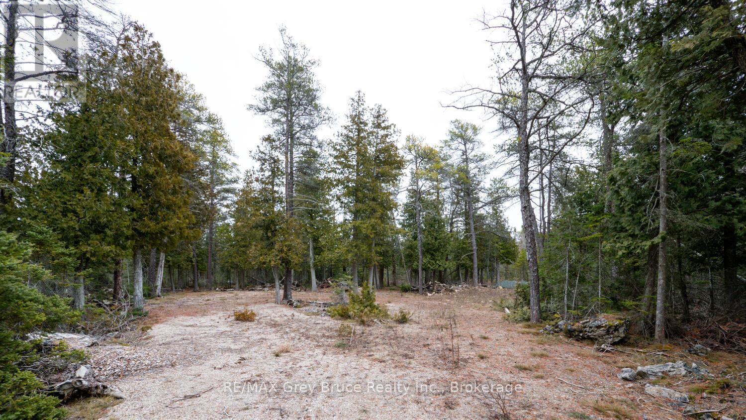 1035 Dorcas Bay Road, Northern Bruce Peninsula, Ontario  N0H 2R0 - Photo 17 - X12118901