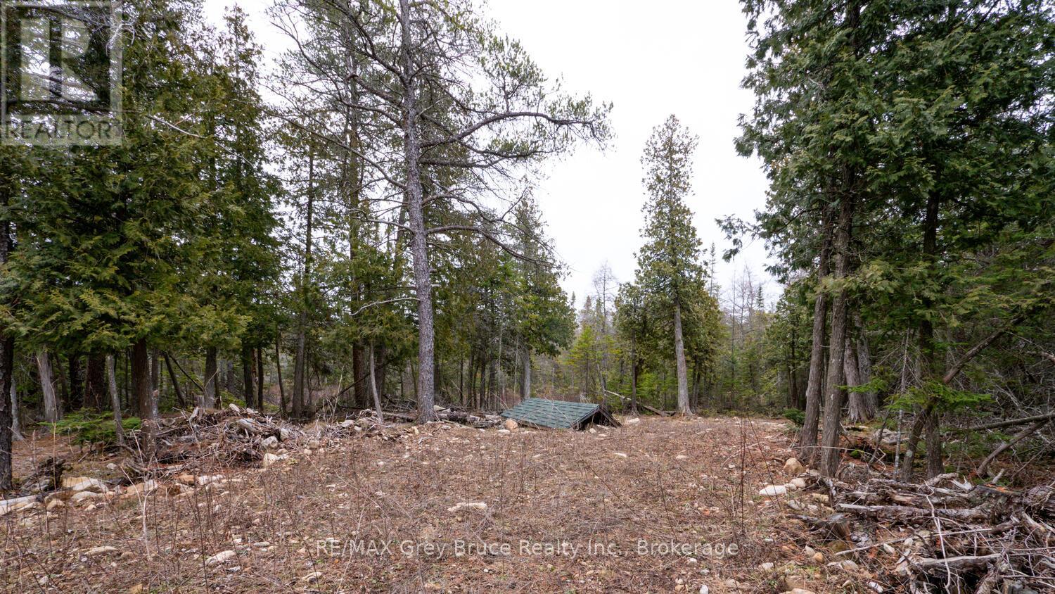 1035 Dorcas Bay Road, Northern Bruce Peninsula, Ontario  N0H 2R0 - Photo 18 - X12118901