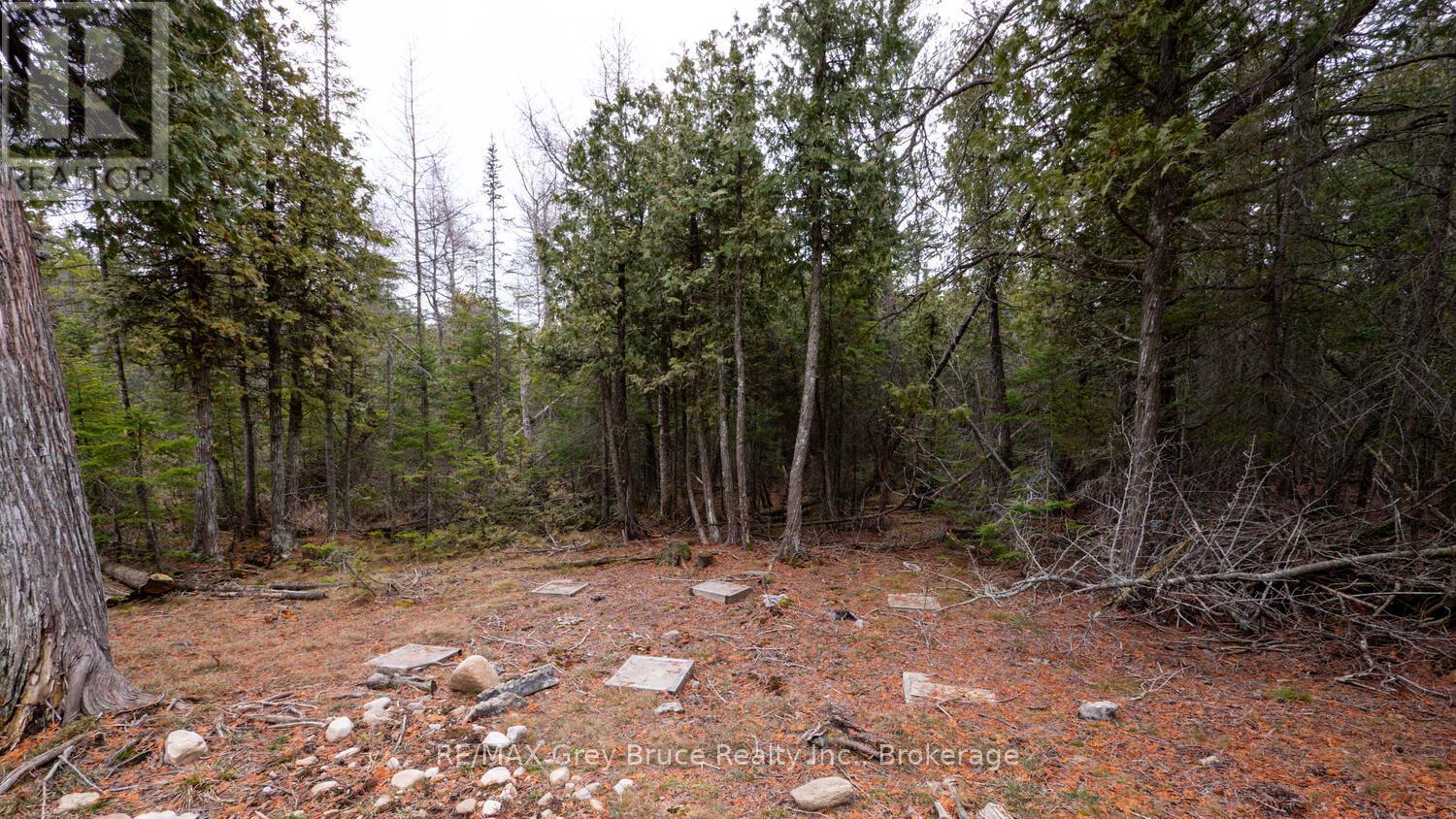 1035 Dorcas Bay Road, Northern Bruce Peninsula, Ontario  N0H 2R0 - Photo 19 - X12118901