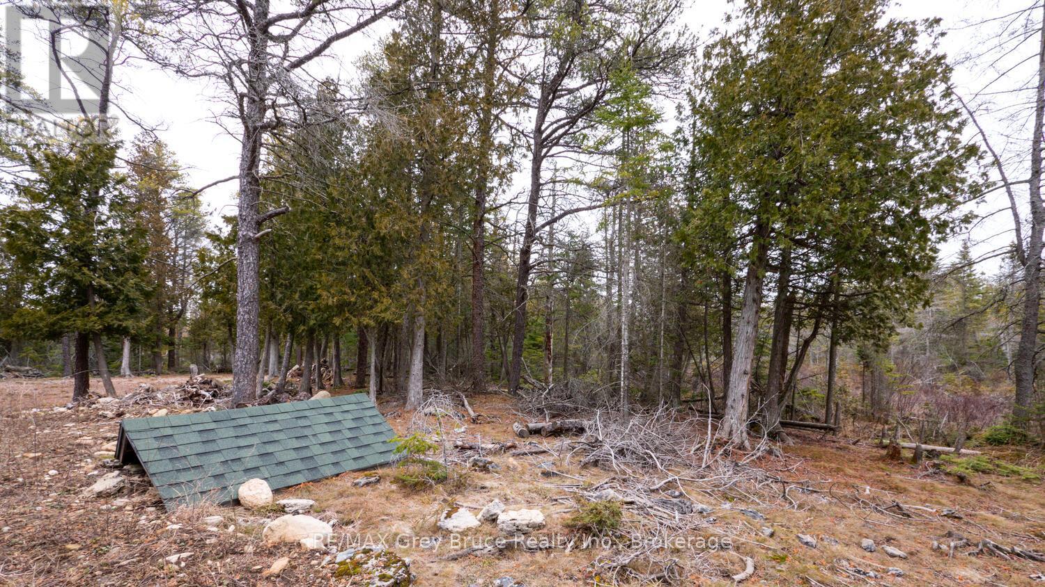 1035 Dorcas Bay Road, Northern Bruce Peninsula, Ontario  N0H 2R0 - Photo 20 - X12118901