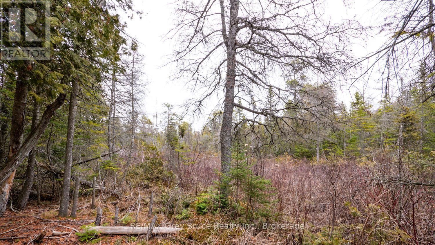 1035 Dorcas Bay Road, Northern Bruce Peninsula, Ontario  N0H 2R0 - Photo 21 - X12118901