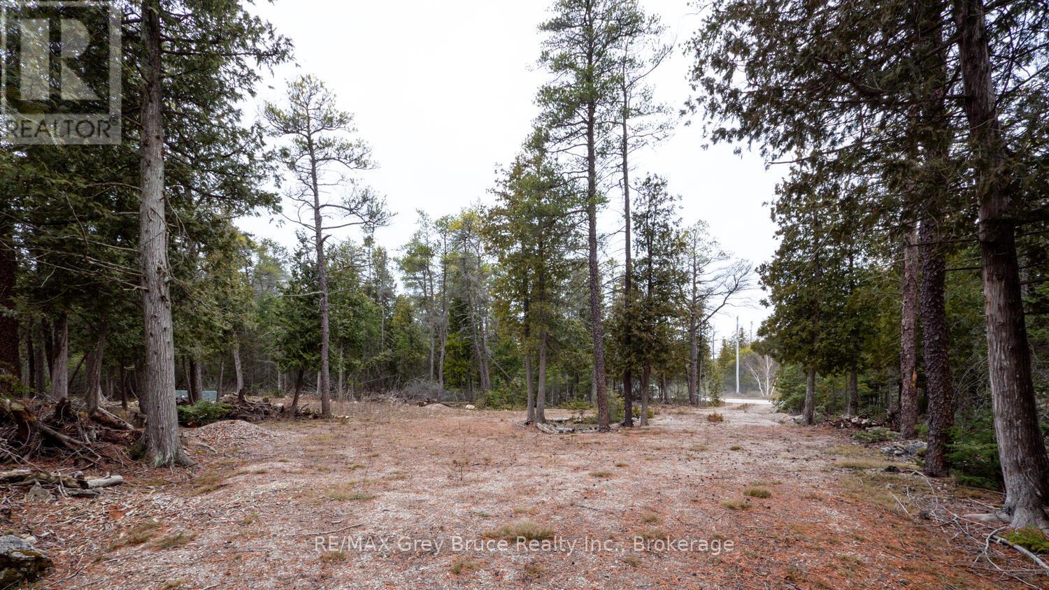 1035 Dorcas Bay Road, Northern Bruce Peninsula, Ontario  N0H 2R0 - Photo 22 - X12118901
