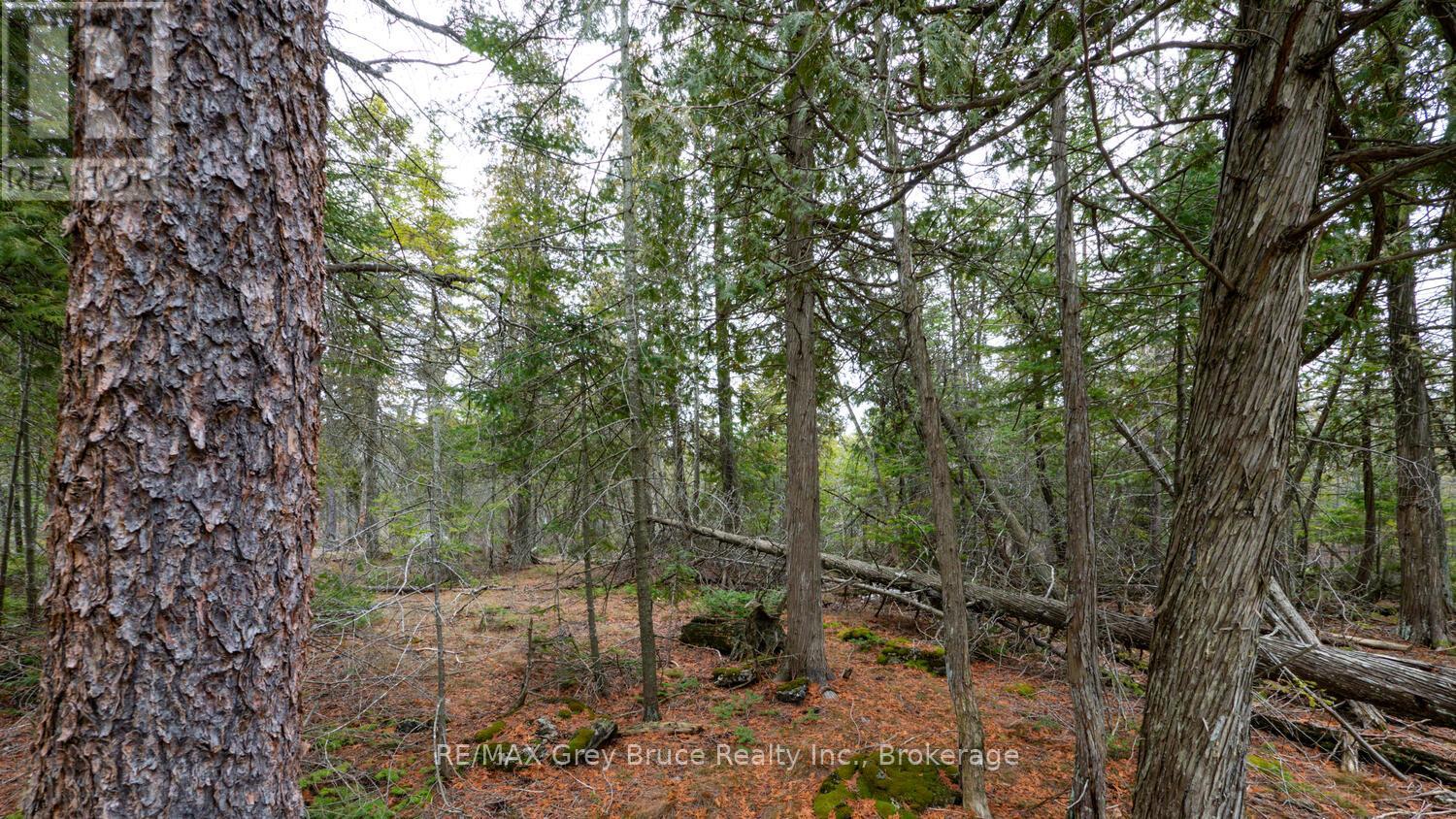 1035 Dorcas Bay Road, Northern Bruce Peninsula, Ontario  N0H 2R0 - Photo 23 - X12118901