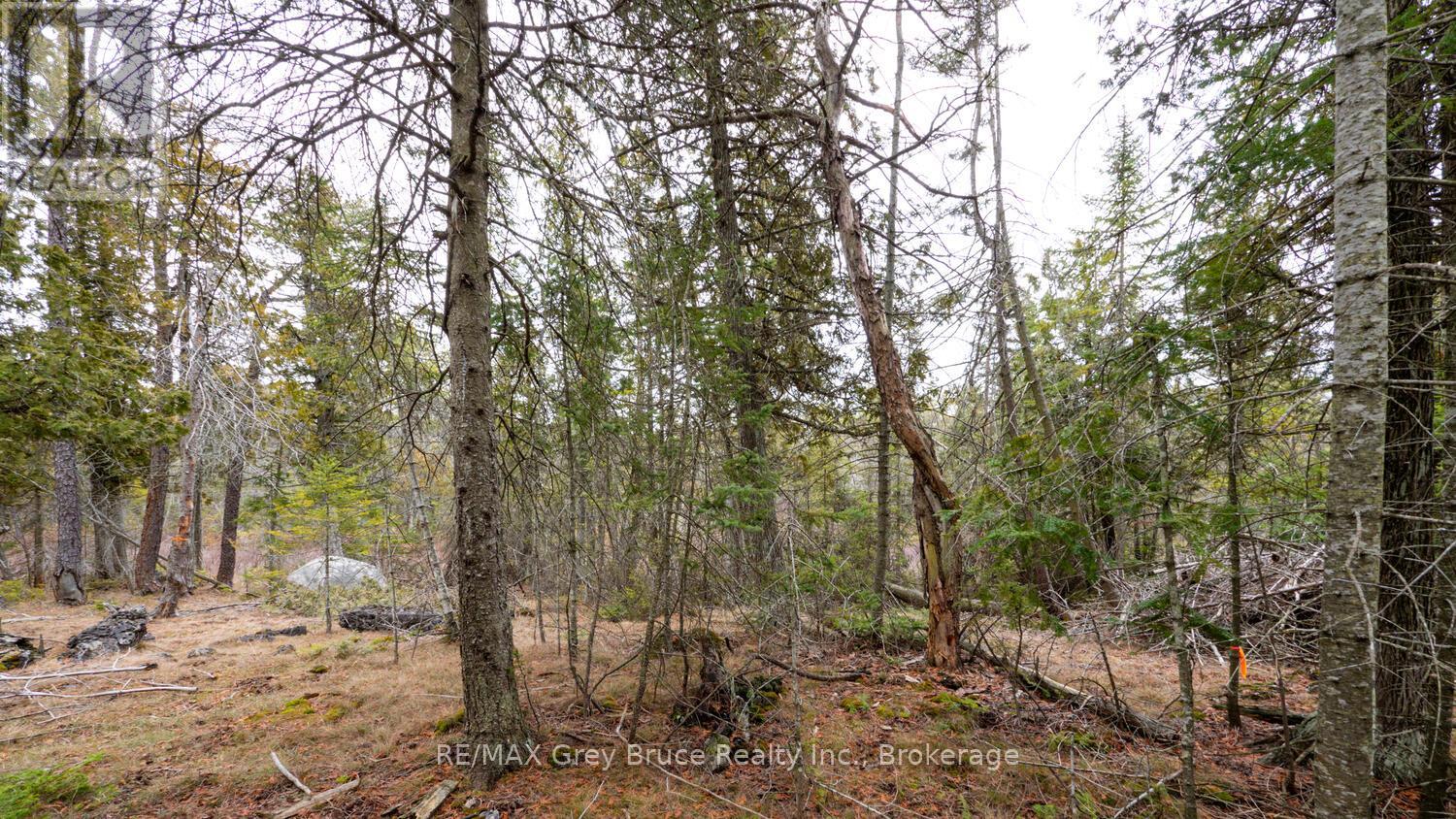 1035 Dorcas Bay Road, Northern Bruce Peninsula, Ontario  N0H 2R0 - Photo 24 - X12118901