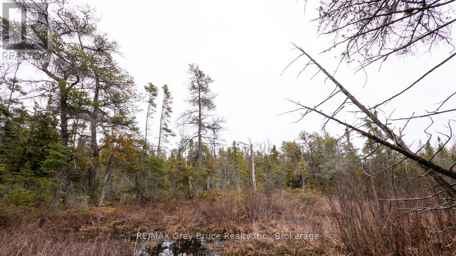 1035 Dorcas Bay Road, Northern Bruce Peninsula, Ontario  N0H 2R0 - Photo 25 - X12118901