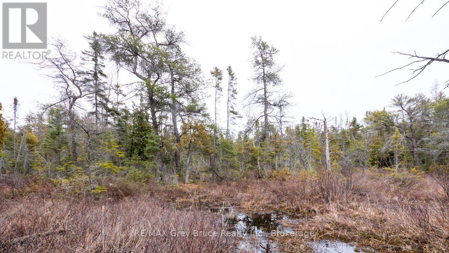 1035 Dorcas Bay Road, Northern Bruce Peninsula, Ontario  N0H 2R0 - Photo 26 - X12118901