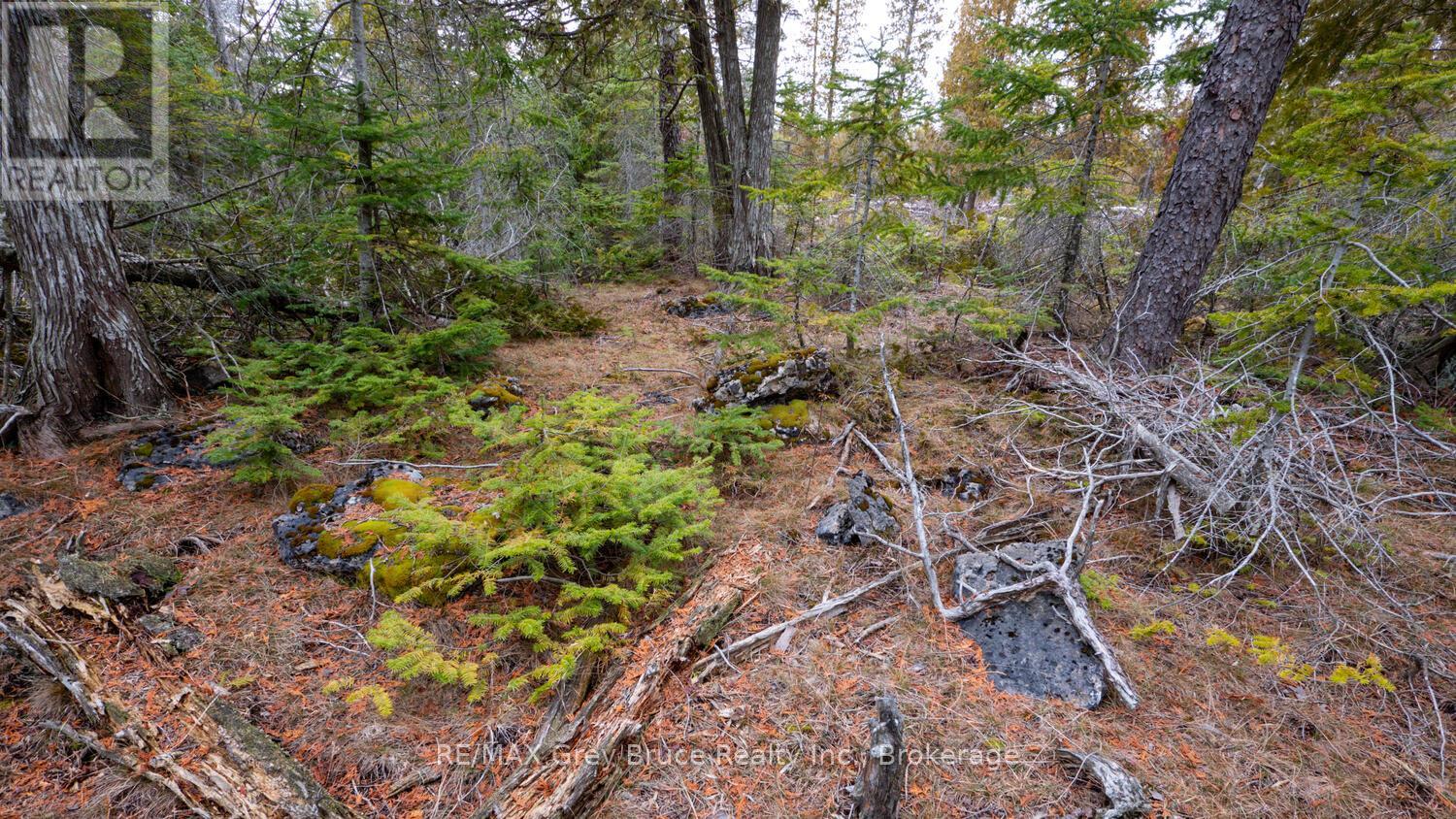 1035 Dorcas Bay Road, Northern Bruce Peninsula, Ontario  N0H 2R0 - Photo 27 - X12118901
