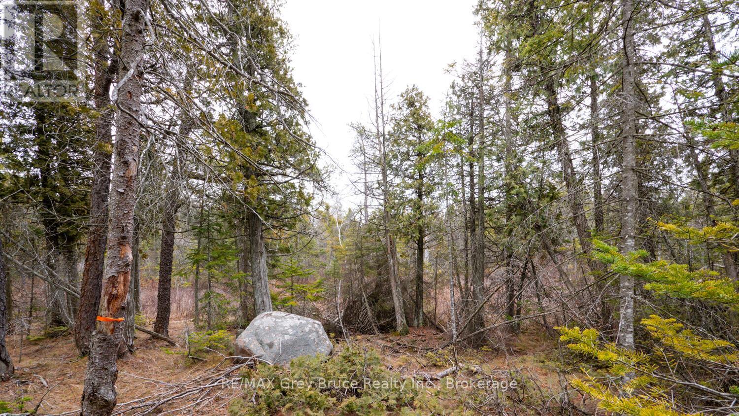 1035 Dorcas Bay Road, Northern Bruce Peninsula, Ontario  N0H 2R0 - Photo 4 - X12118901