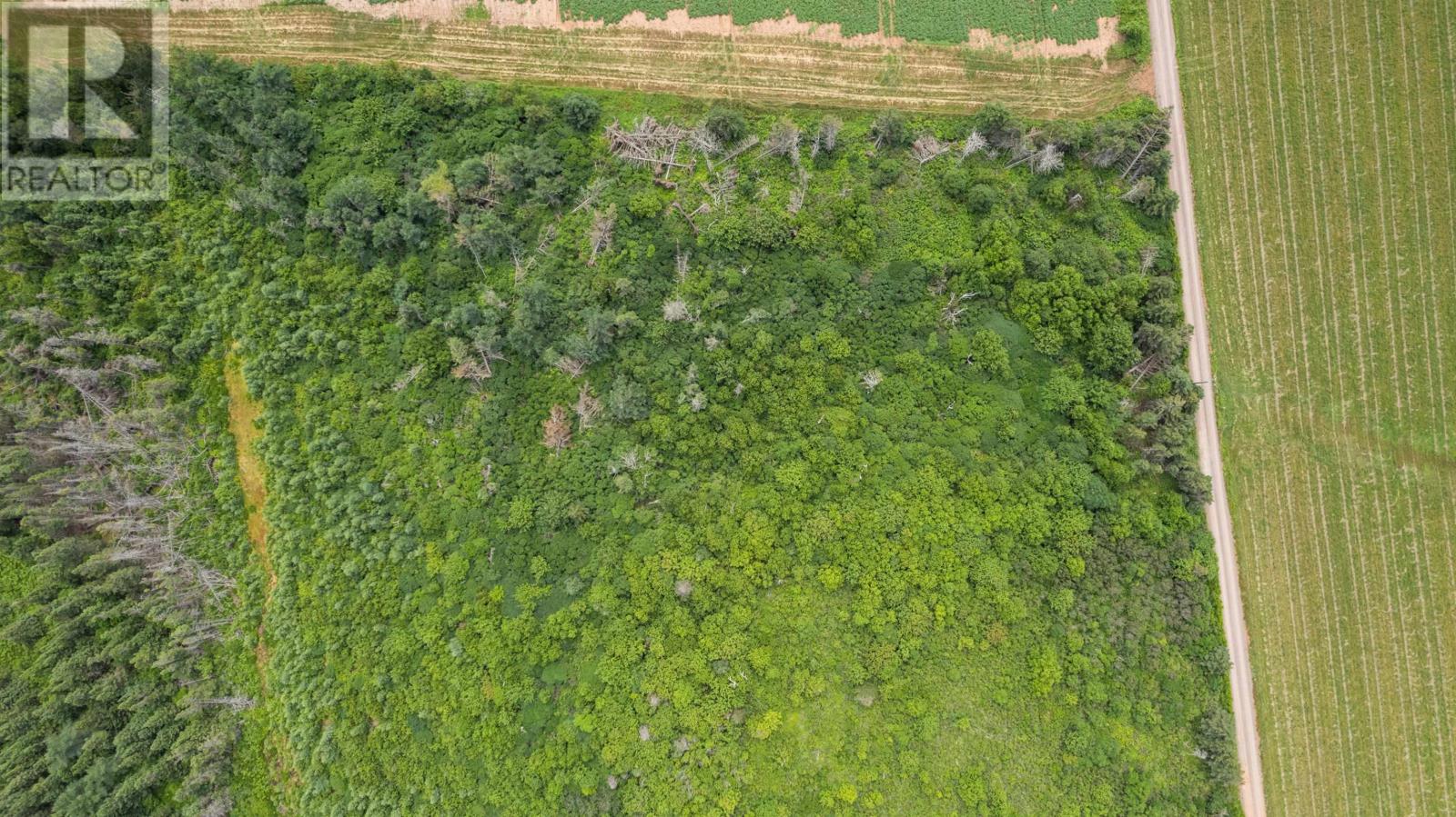 Lot 09-1 Tommy's Lane, Priest Pond, Prince Edward Island  C0A 2B0 - Photo 10 - 202509591