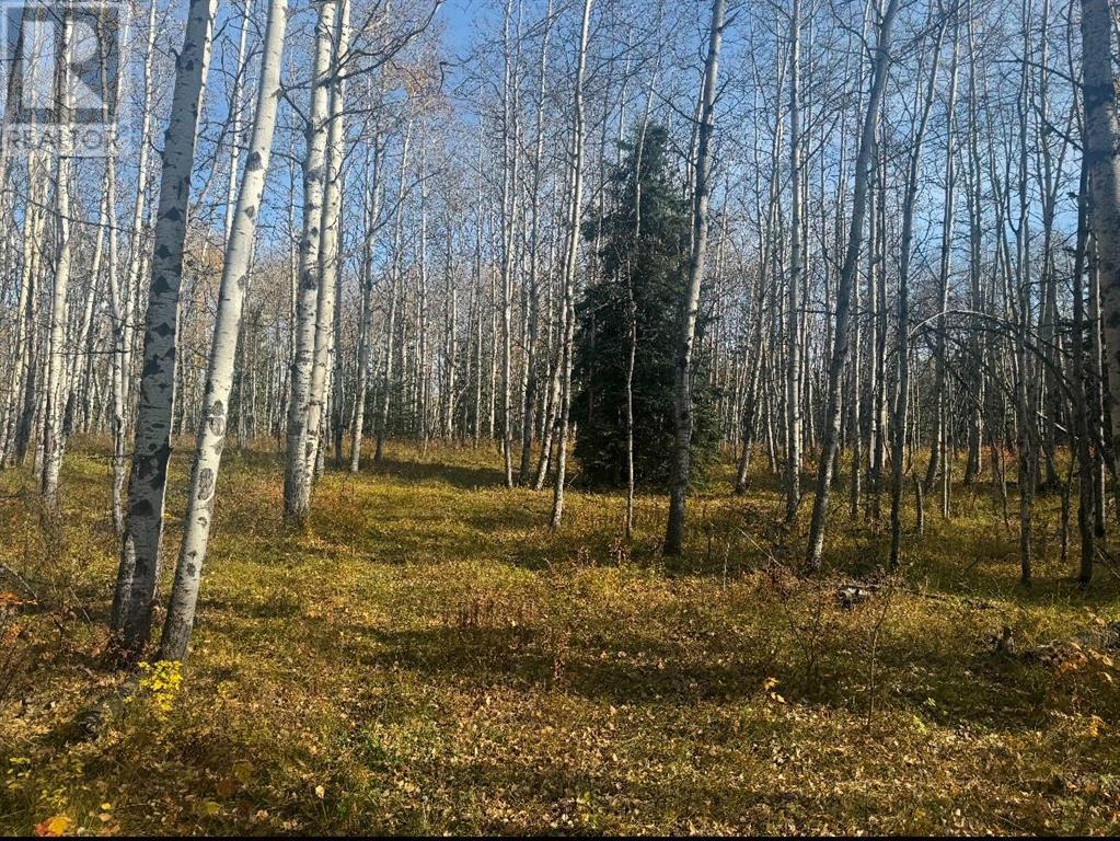 224 Street W, Rural Foothills County, Alberta  T0L 1K0 - Photo 5 - A2190107