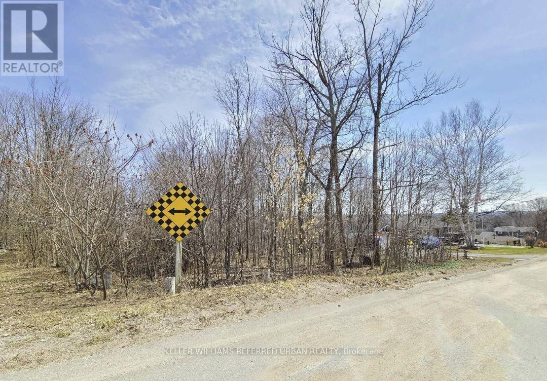 Property at 555 BARNES AVENUE image 5