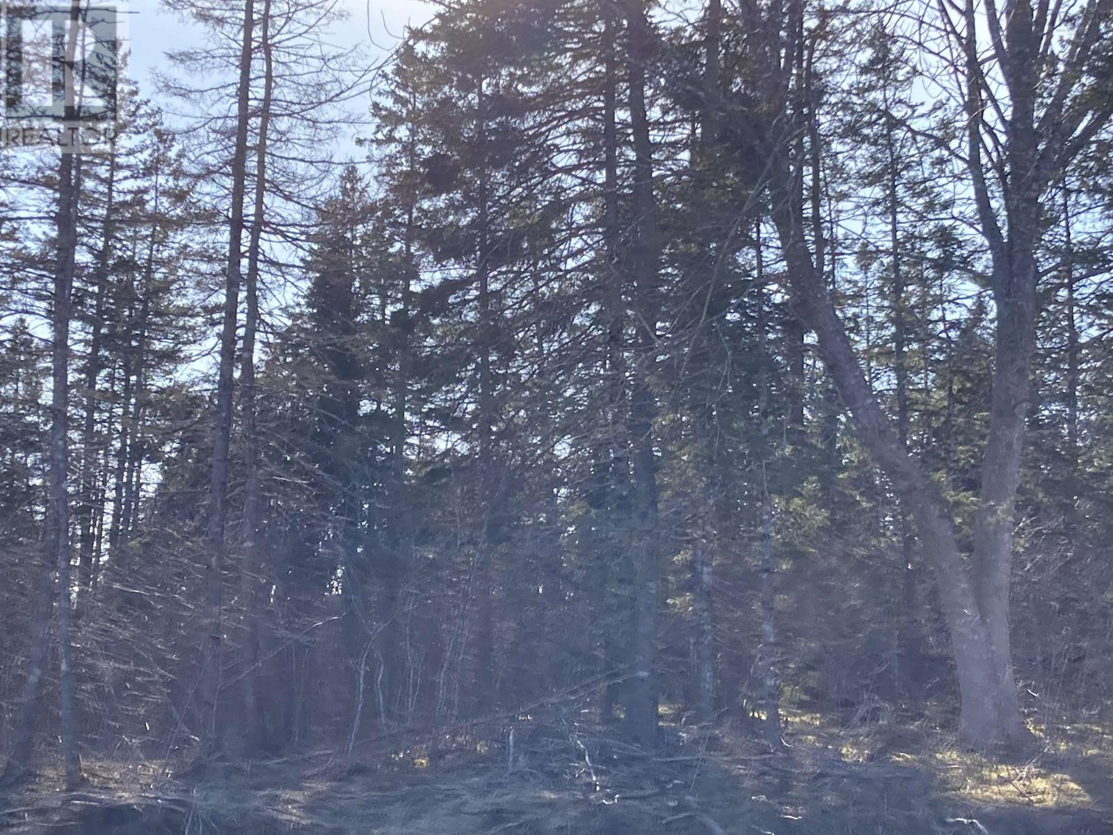 Lot 21-7 Mary Cecelia Ridge, St Andrew's, Nova Scotia  B0H 1P0 - Photo 21 - 202509593