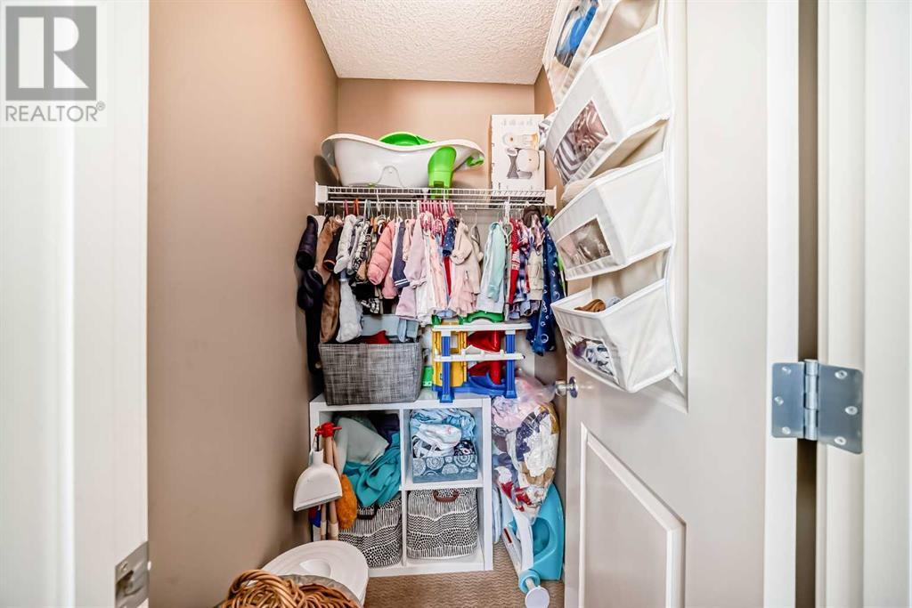 443 Silverado Plains Circle Sw, Calgary, Alberta  T2X 0H4 - Photo 29 - A2216109