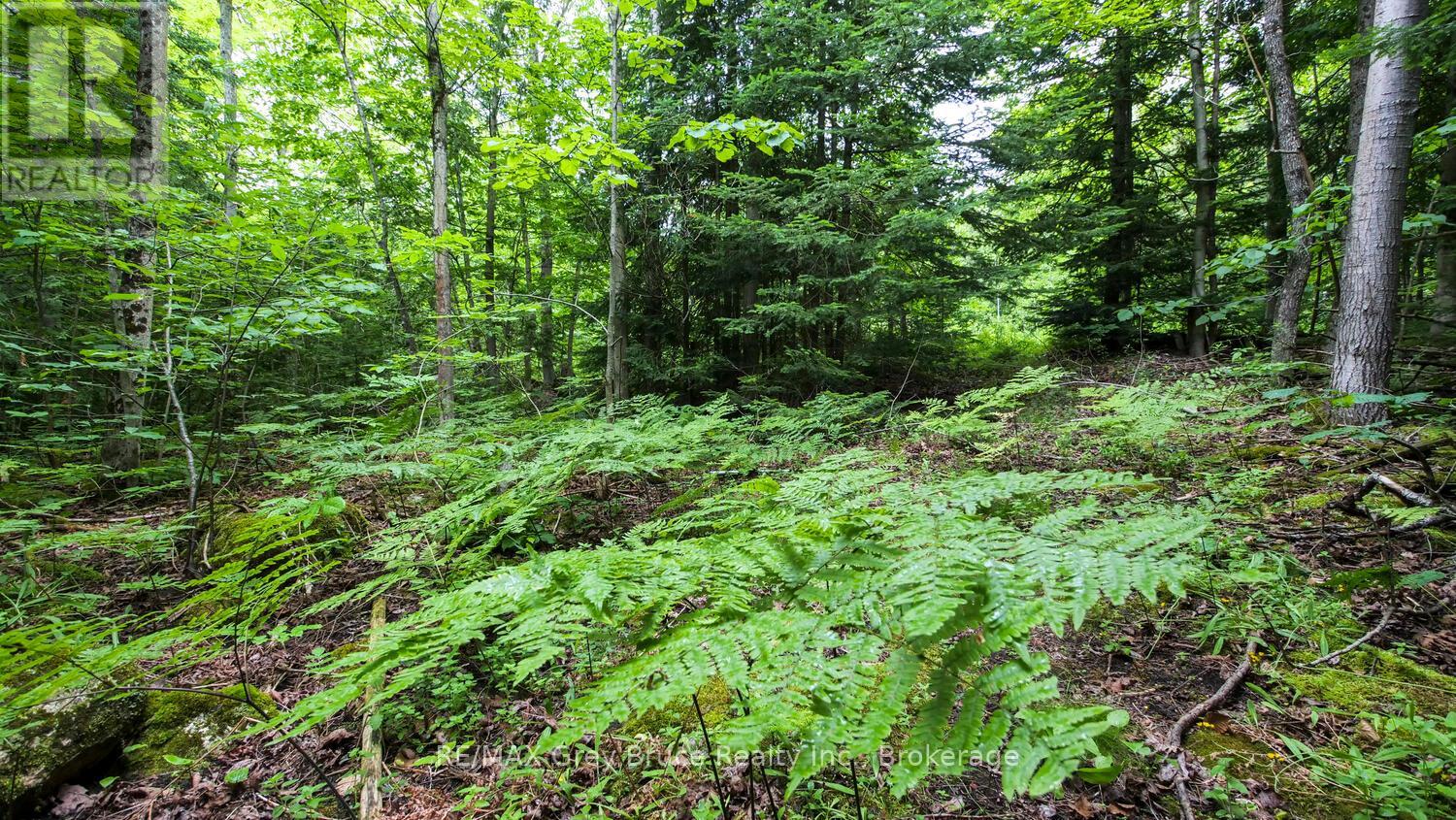 1477 Highway 6 Highway, South Bruce Peninsula, Ontario  N0H 2T0 - Photo 27 - X12119442