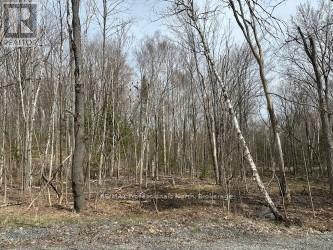 LOT SILVERWOOD ROAD, Minden Hills, Ontario