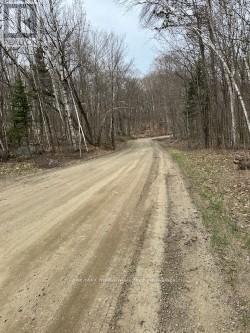 Lot Silverwood Road, Minden Hills, Ontario  K0M 2K0 - Photo 13 - X12119610