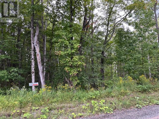 Lot Silverwood Road, Minden Hills (Snowdon), Ontario  K0M 2K0 - Photo 4 - X12119610