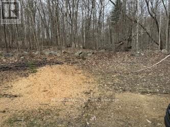 Lot Silverwood Road, Minden Hills (Snowdon), Ontario  K0M 2K0 - Photo 8 - X12119610