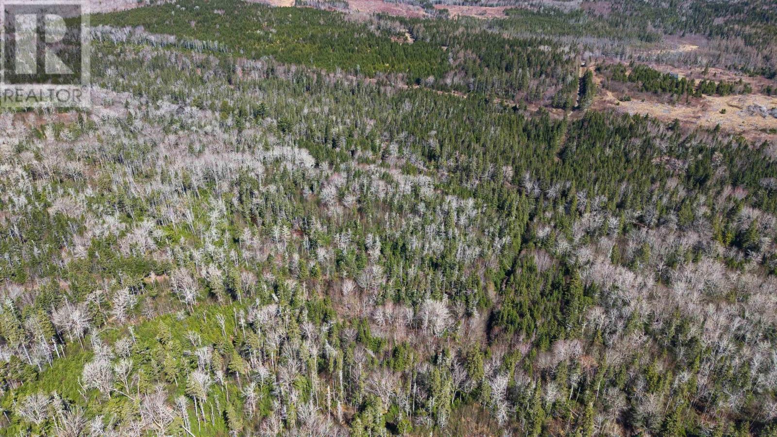 Lot 42 Private Road, Guysborough, Nova Scotia  B0H 1N0 - Photo 17 - 202509615
