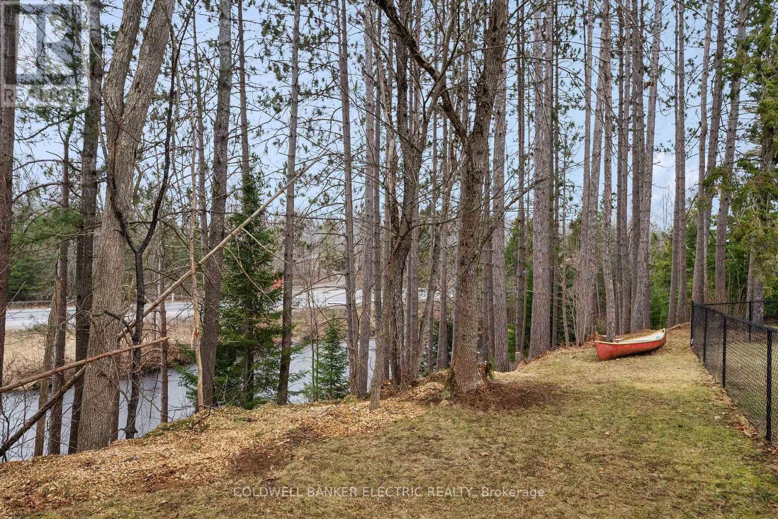 58 River Street, North Kawartha, Ontario  K0L 1A0 - Photo 32 - X12119361