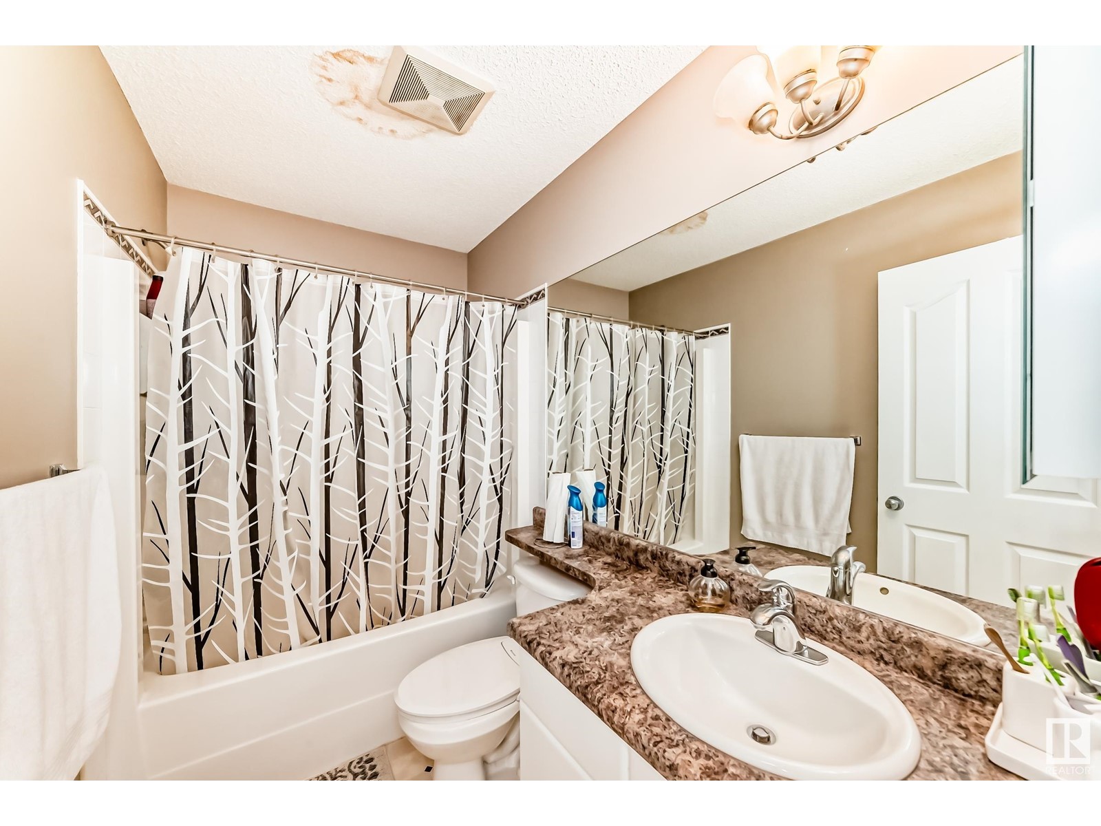 8722 5 Av Sw, Edmonton, Alberta  T6X 1E2 - Photo 40 - E4434013