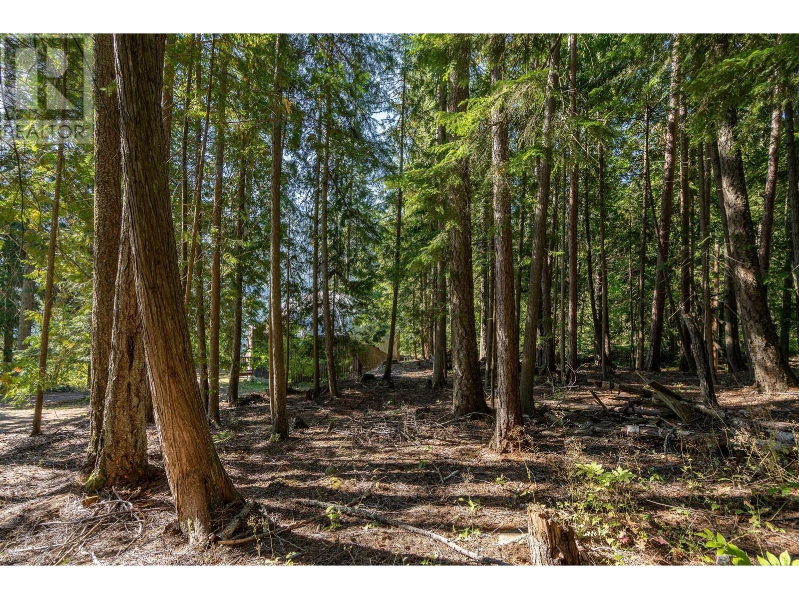 6602 3a Highway, Nelson, British Columbia  V1L 6S1 - Photo 29 - 10345322