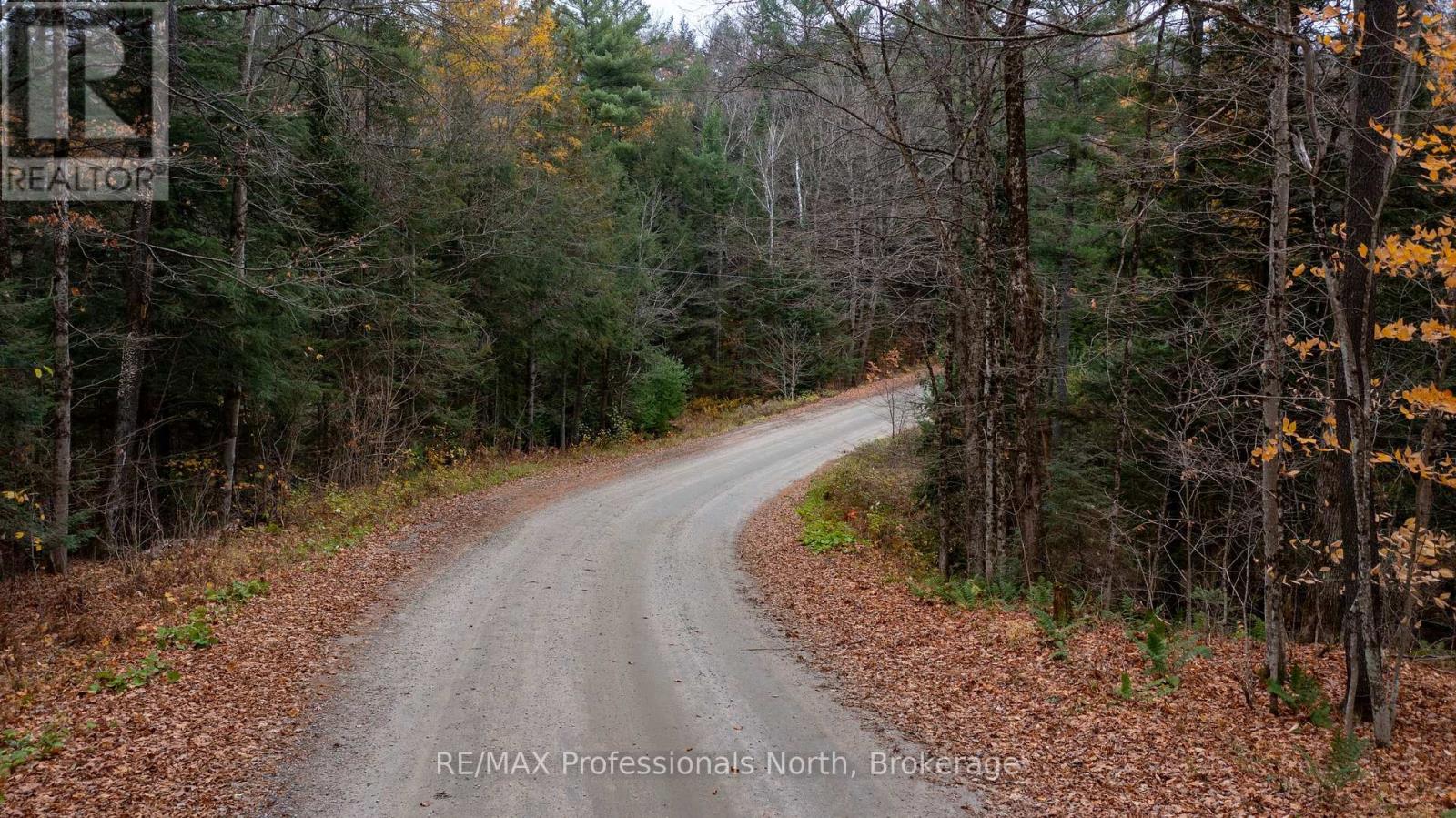 Lot 1 Carlsmount Road, Bracebridge, Ontario  P1L 1X1 - Photo 2 - X12119881