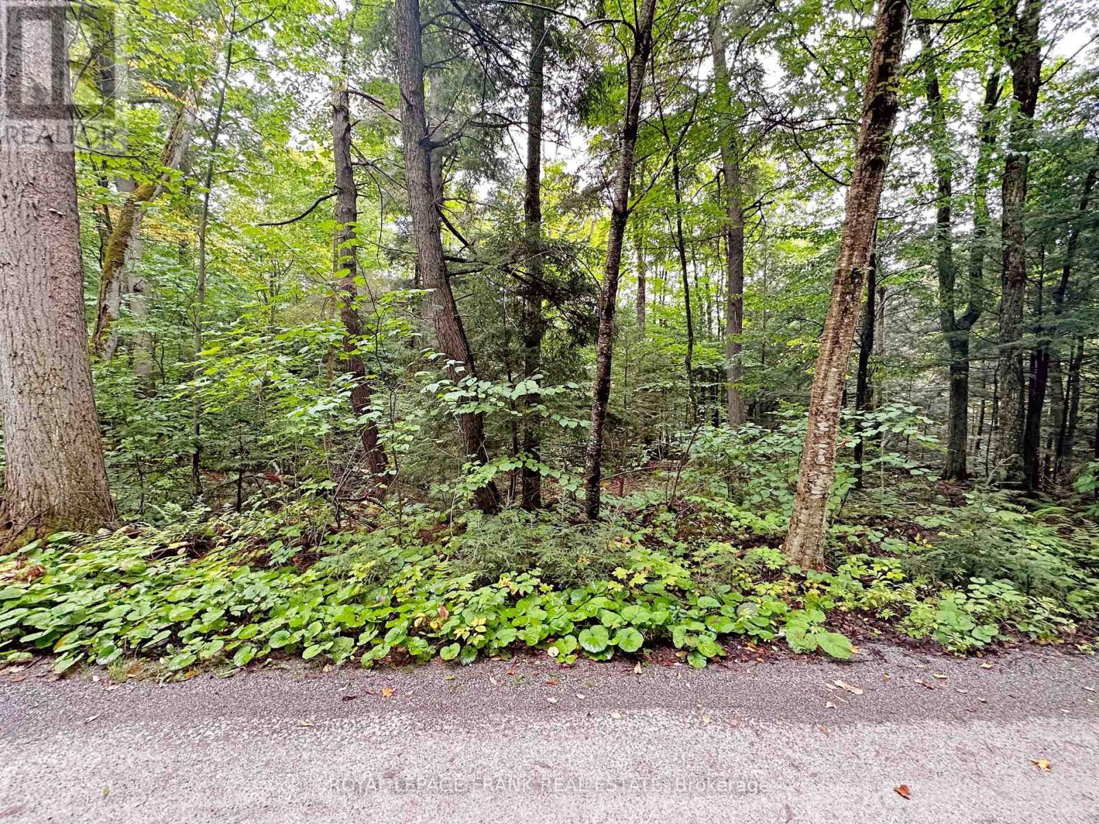 0 Fire Route 267, Trent Lakes, Ontario  K0L 1J0 - Photo 13 - X12119828