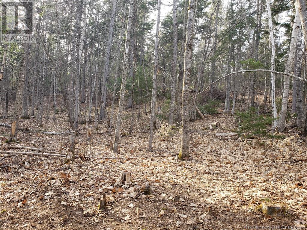 3311 Hwy 625, Taxis River, New Brunswick  E6A 1E9 - Photo 18 - NB117573