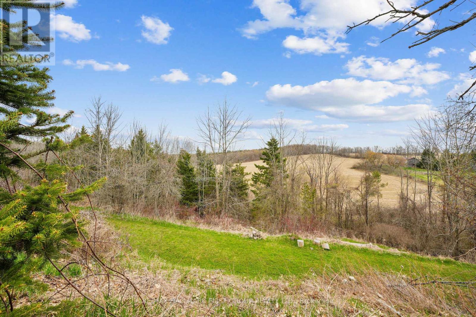 165 South Burns Road, Alnwick/haldimand, Ontario  K0K 1C0 - Photo 49 - X12119639